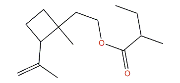 Fragranyl 2-methylbutyrate